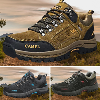 Rainer | Innovative Tursko